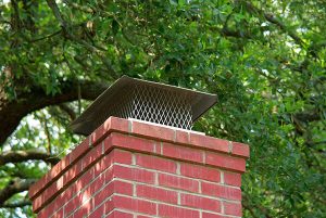 Chimney Cap Installation